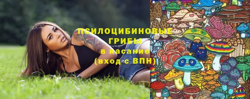 Псилоцибиновые грибы MAGIC MUSHROOMS  shop Telegram  Западная Двина 